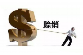 兴城融资清欠服务